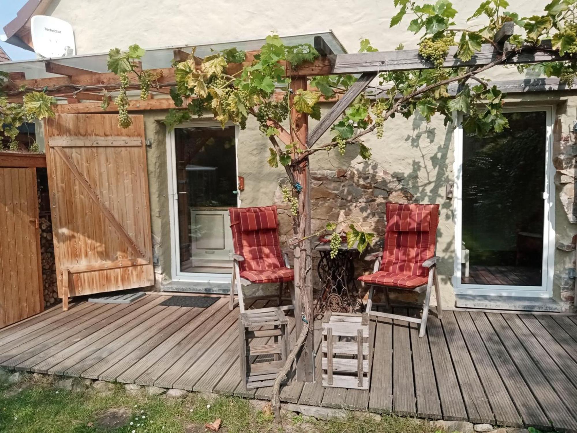 Pension "Seeblick" Am Stelzenhaus Dornburg  Dış mekan fotoğraf